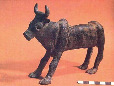 Follow the bulls: part 2, the return of the bulls (Psalm&nbsp;51)