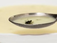 How to ruin the perfect prayer (Psalm&nbsp;63)