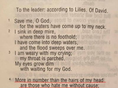 Claiming innocence (Psalm&nbsp;69)